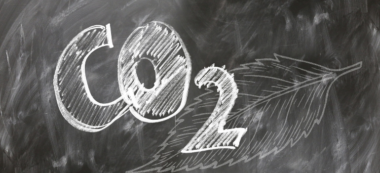 Chalkboard drawing of 'CO2' with a large leaf outline.