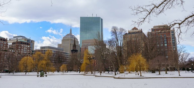 a view of Boston, one of the most popular MA cities people are moving to this year