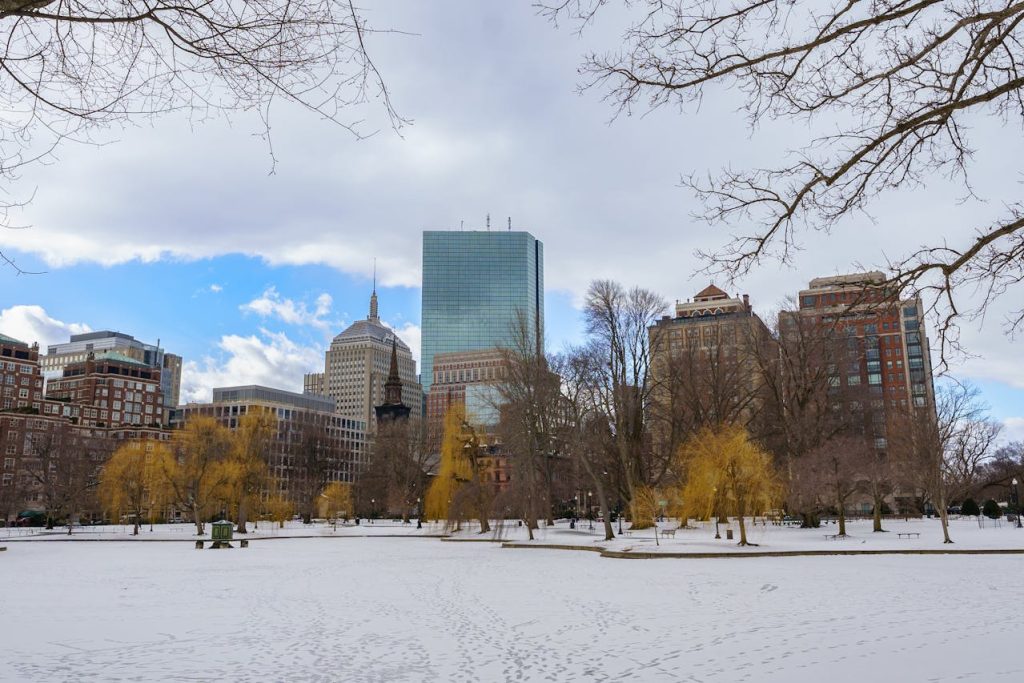 Snowy Boston Skyline with Historic Buildings
